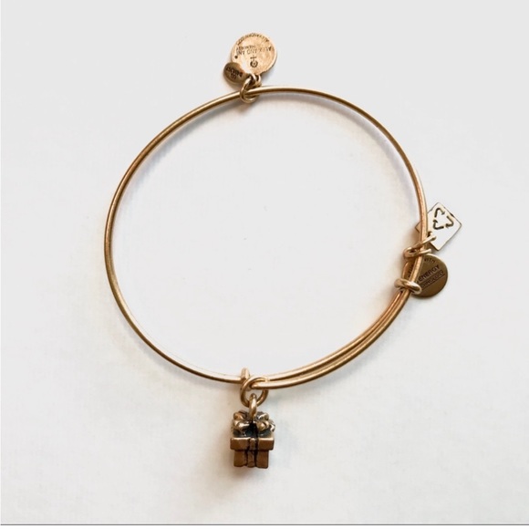 Alex and Ani Present Charm Bracelet - Picture 1 of 3